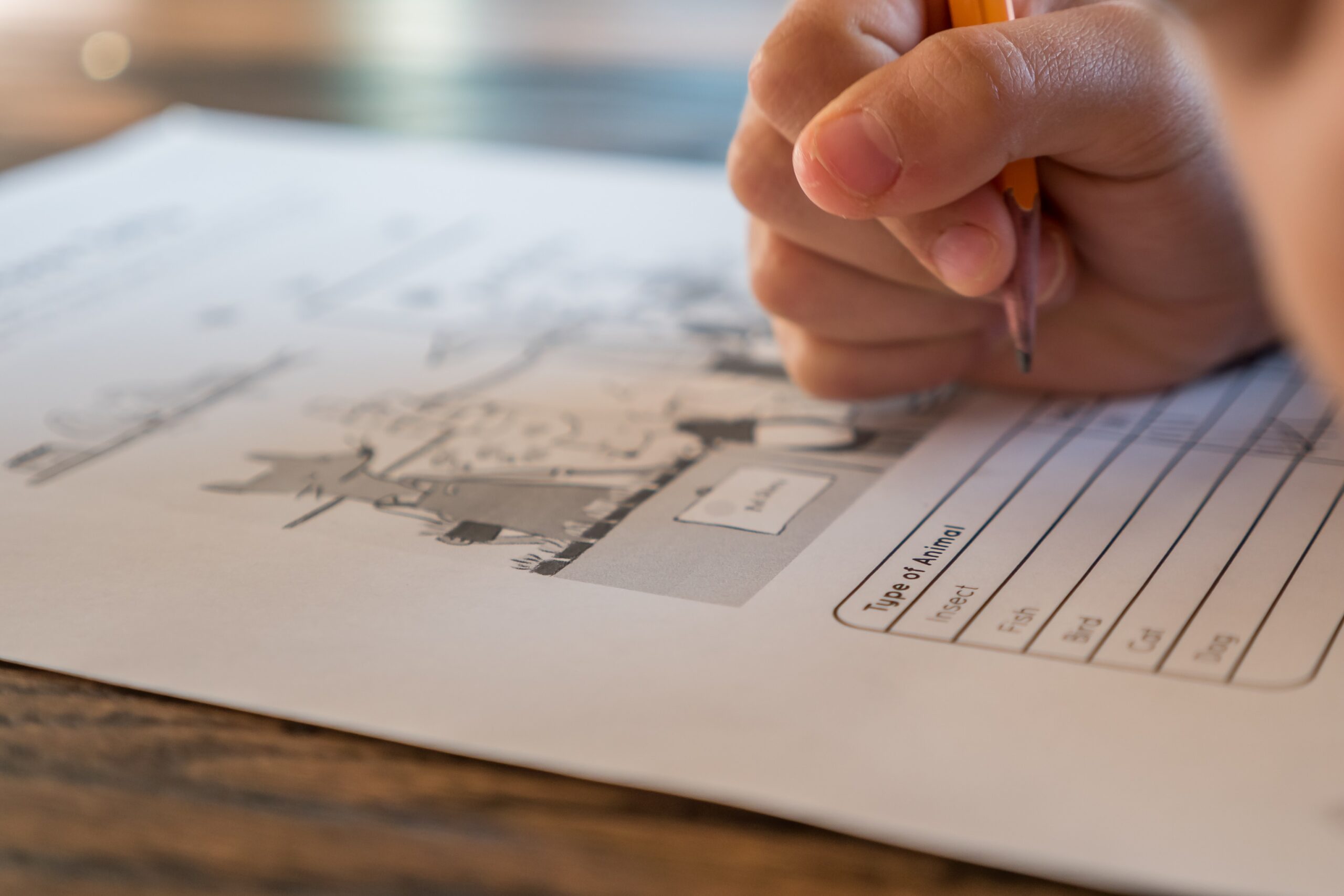 Fiche n°12 : Adaptations pour les épreuves certificatives externes (CEB, CE1D et CESS) - 2025